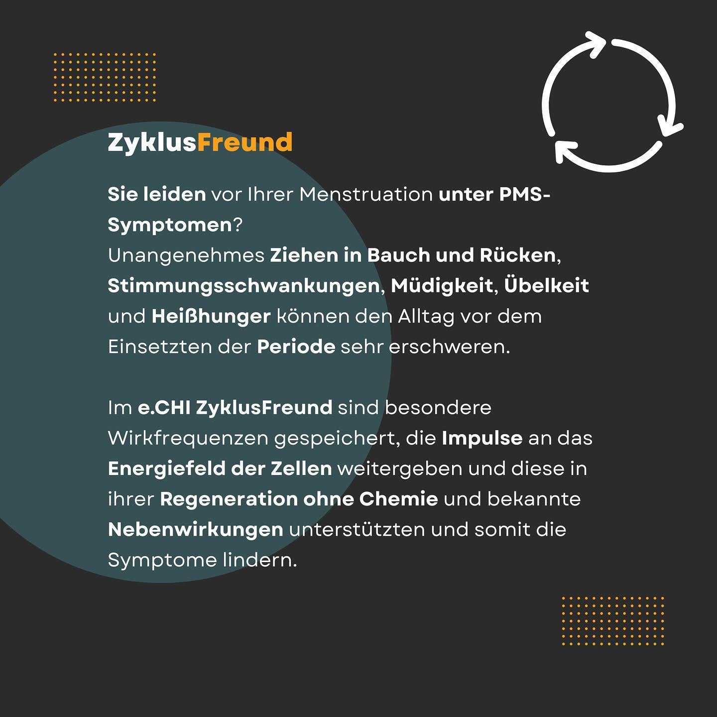ZyklusFREUND