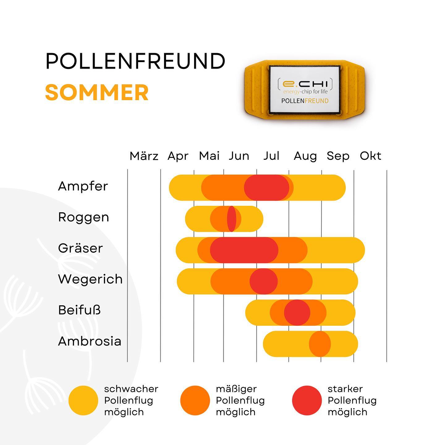 Pollenbooster Frühling und SommerFREUND - 10%