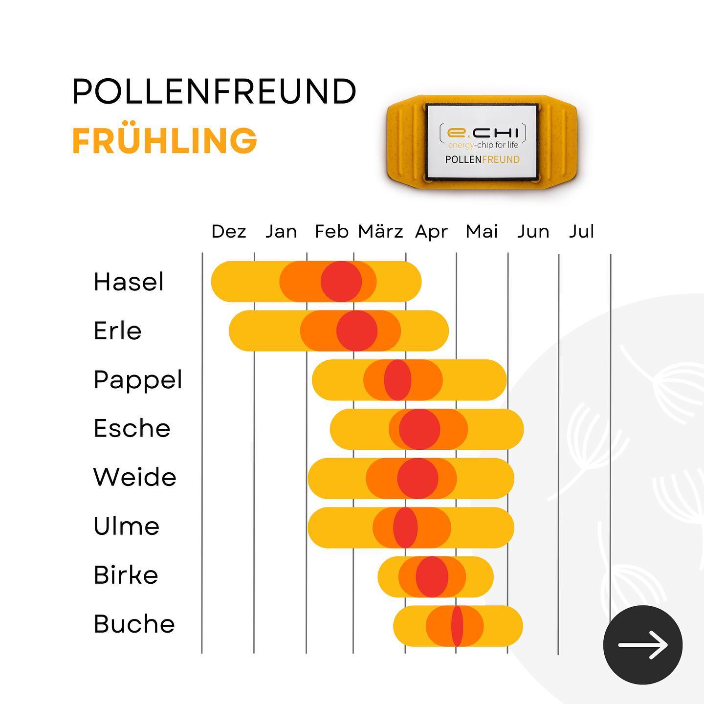 Pollenbooster Frühling und SommerFREUND - 10%