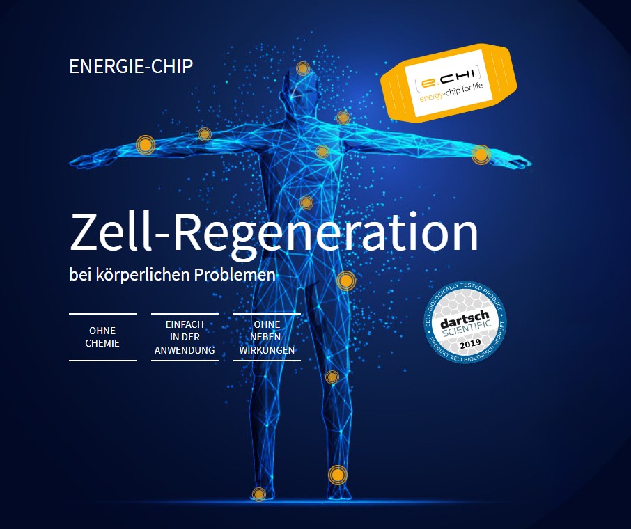 Laden Sie das Video: 